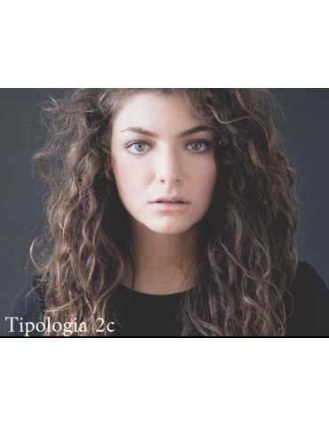 FREE 2C CONSULTING 2