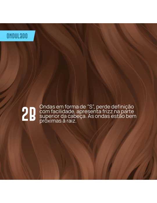 2B CONSULTANCE gratuit