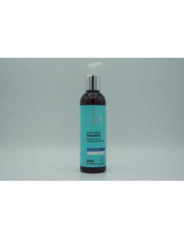 Shampoo for oily hair, dandruff alopecia Urbano SPA Blue - Soft Mind