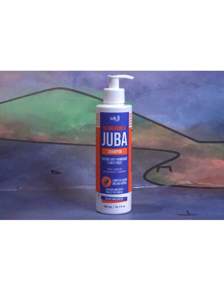 Shampoo Widi Care scudo antiumidità e antifrizz 300ml